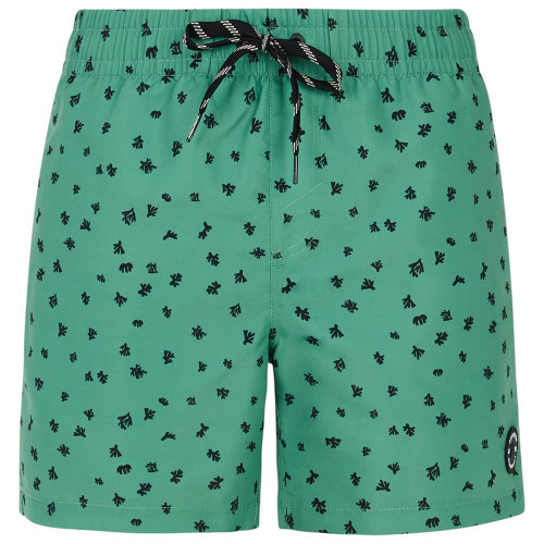 Protest Ανδρικό μαγιό Juan Swim Shorts